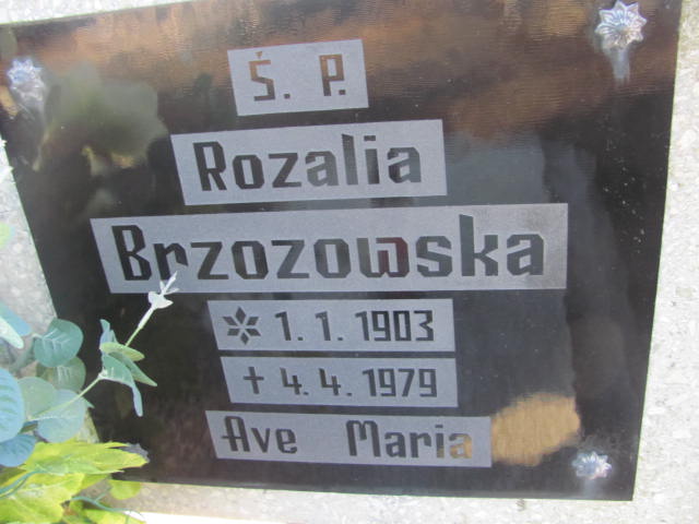 Rozalia Brzozowska 1903 Szczaniec - Grobonet - Wyszukiwarka osób pochowanych