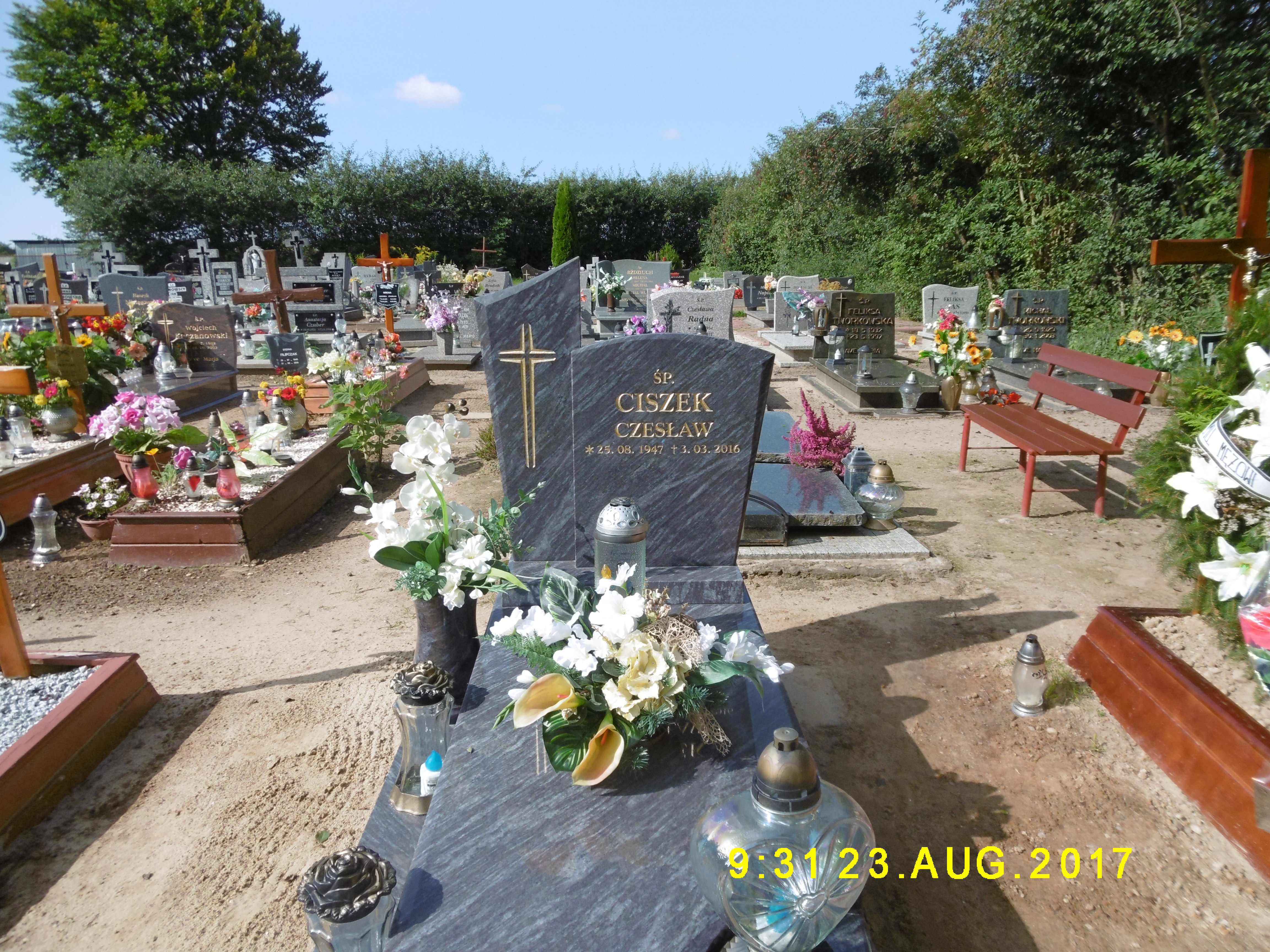 Wanda Ciszek 1949 Szczaniec - Grobonet - Wyszukiwarka osób pochowanych
